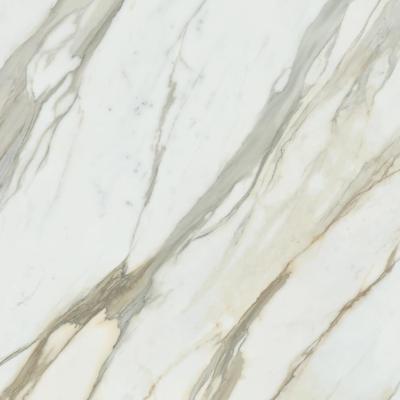 Calacatta Gold Luc Sq 120x120
