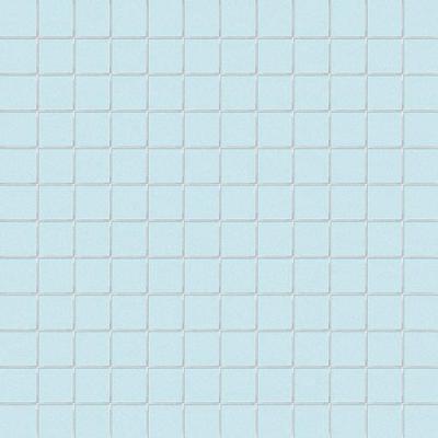 Azzurro Su Rete 2.5x2.5 30x30