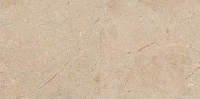 Camel Glossy 60x120