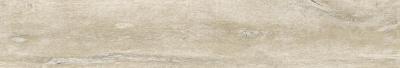 Lenk Maple As C R 24x151