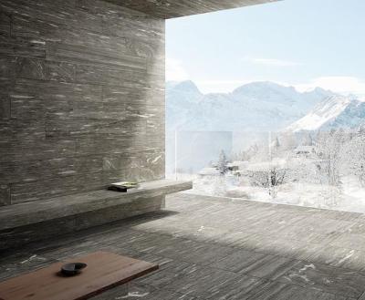 Skyfall Х2 Skyfall Х2