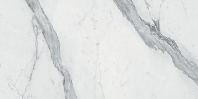 Statuario Extra Luc Sq 60x120