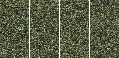 Gelsomino