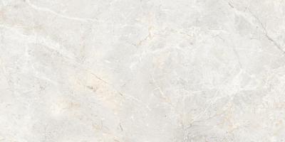 Augustus Pearl Natural 60x120