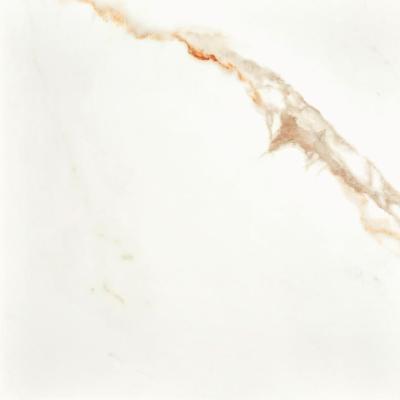 Calacatta Gold Ret 80x80