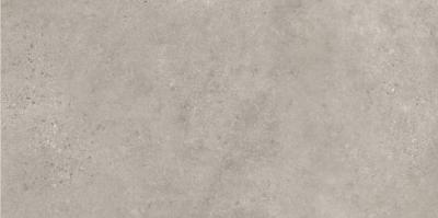 Cemento Mt Rect 59.5x120