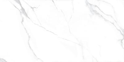 Lappato Rettificato 60x120