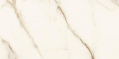 Calacatta Oro Nat 60x120