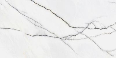 Panda White 60x120 5мм Matt