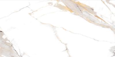 Calacatta Light Grey 60x120