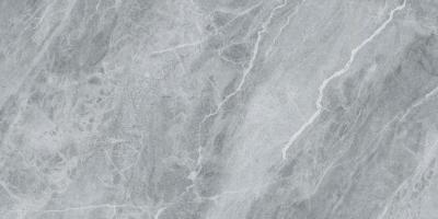Pietra Savoia Di Argento 60x120