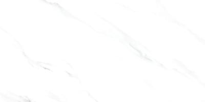 Soft White 60x120