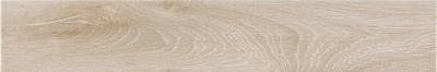 Ingalls Arce 10x60