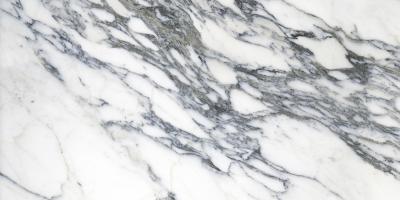 Carrara Surplus High Gloss 60x120