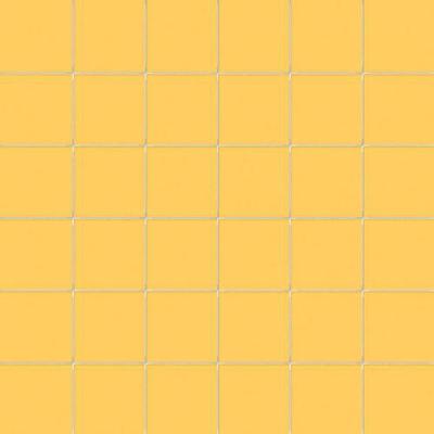 Cedro Su Rete 10x10 30x30