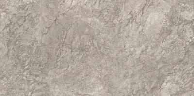 Breccia Braque Base Lappato 120x240