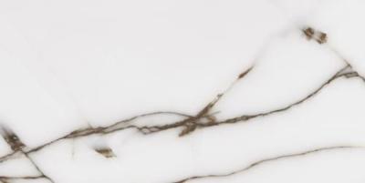 Fancy Onix Grey Glossy 60x120