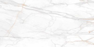 Керамогранит SM 02 80x160