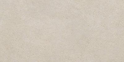 Greige 60х120
