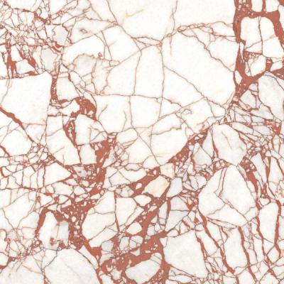 CALACATTA DANTE NAT R 120x120 