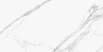 Statuario Calipso 60x120