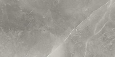 Fior Di Bosco Polished 60x120