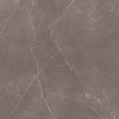 Tortora Polished 59.2x59.2