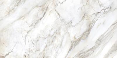 Marmi Di Carara B 60x120