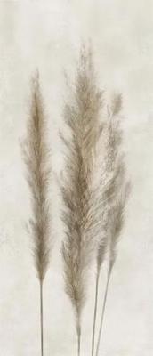 Deco Solutions Pampa Faccia A 120x278