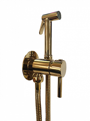 Set гигиен. Душа TWEET ROUND MIX душ и держатель из металла, шланг металл 1200мм, co СМЕСИТЕЛЕМ, цвет Золото