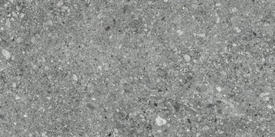 Ceppo Coal Lap 60x120