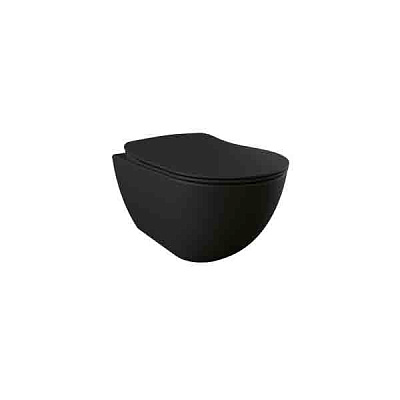 Унитаз подвесной Creavit Free FE320-00SM00E-0000 с биде, черный матовый Унитаз подвесной Creavit Free FE320-00SM00E-0000 с биде, черный матовый