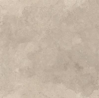 Greige Lucido R 60x60