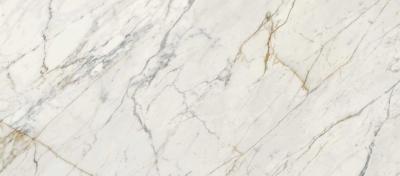 Calacatta Oro Rettificato 120x278