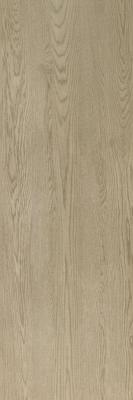 Kauri Beige 3.5 100x300