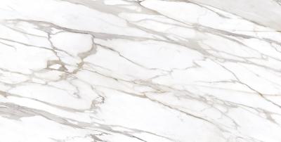 Calacatta Gold Canova Base Lappato 120x240