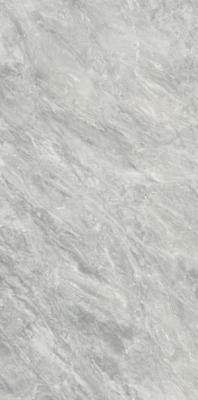 Bardiglio Chiaro Luc 60x120