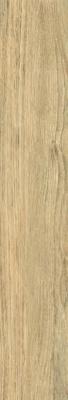 Vapor Rt 20x120