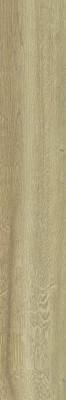 PTR.WOOD GOLD NAT R20X120 PTR.WOOD GOLD NAT R20X120