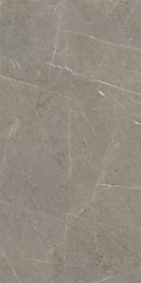 Grey 60x120