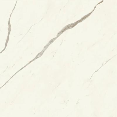 Calacatta Sublime Silk 120x120