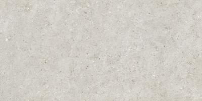 Beren Light Grey Ductile 60x120