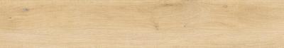 Whistler Honey 24x151