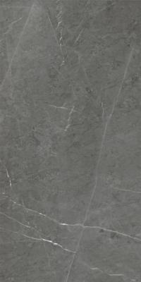 Dark Grey 60x120