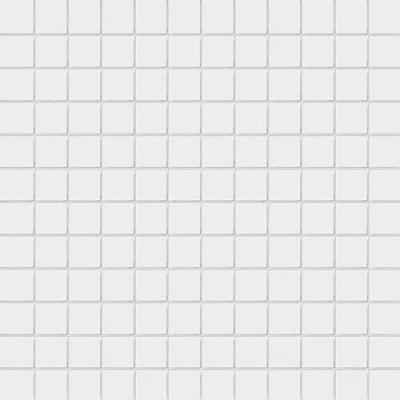 Bianco Su Rete 2.5x2.5 30x30