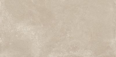 Century Blend Concept 30x60