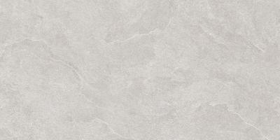 North Slate Grey 60x120