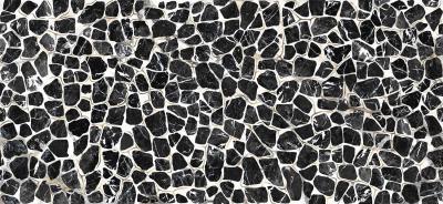 Turtle6 260Lp 120x260