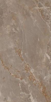 Taupe 60x120