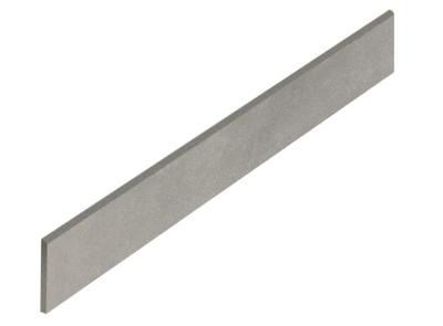 Grey Battiscopa